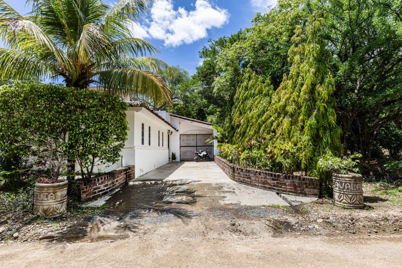 Surf Sense Nicaragua – May 2026 Training Trip