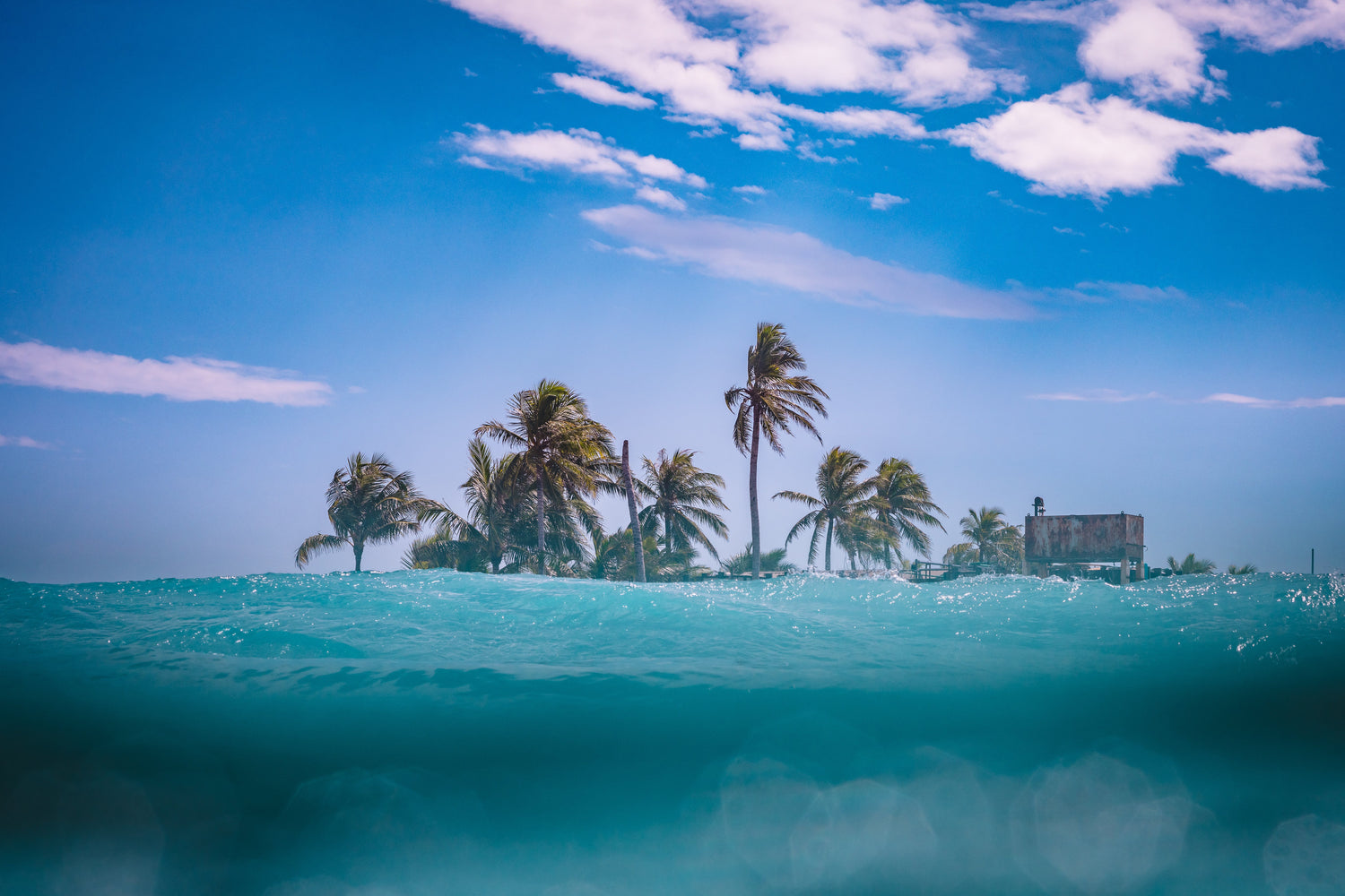 Coaching Trips & Camps