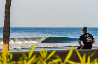 Surf Sense Nicaragua – May 2026 Training Trip