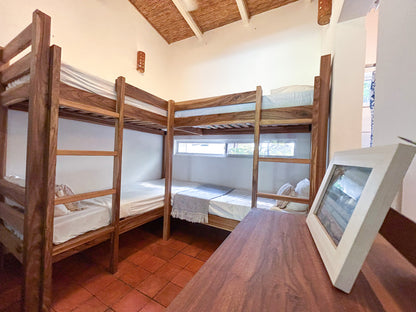 Surf Sense Nicaragua – May 2026 Training Trip