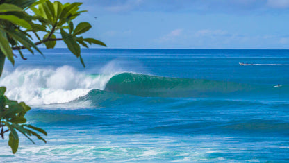 Surf Sense Nicaragua – May 2026 Training Trip