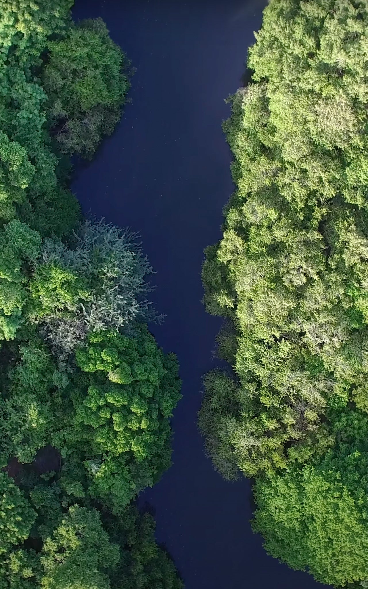 Surf Sense Nicaragua – May 2026 Training Trip