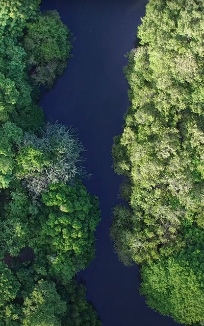 Surf Sense Nicaragua – May 2026 Training Trip